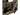 Tasmanian Tiger BEL SET, coyote-Tasmanian Tiger-