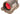 SRS 1x38 Red Dot - TAN-Aim-O-