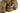 Tasca cargo GFC Cargo Molle Pouch — Olive Drab