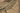 Sleeping bag Tropen - SAND-CARINTHIA-