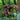 3D Ghillie – Shoulder Piece - Amber Home > All products > Army clothing and shoes > Hejkals and Masking Dumpers NOVRITSCH