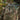 M-Tac Patch Tactical Girl #4 PVC-M-Tac-