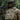 M-Tac Patch Operator-M-Tac-
