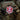 M-Tac patch Paramedic Ursus (PVC)-M-Tac-