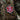 M-Tac patch Paramedic Ursus (PVC)-M-Tac-