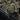 M-Patch Leopard 2 PVC-M-Tac-