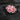 M-Tac patch Paramedic (Embroidery)-M-Tac-