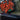M-Tac Patch Red Beard Black-M-Tac-