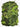 KMCS Pack Cover (Large) with 3D Leafs - Green-Kicking Mustang-