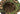 Cappello Invader Gear Leaf Boonie Hat — Mimetico
