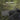 OLIGHT Osight S Red Dot Sight - Green-OLIGHT-