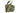 Tasca medica SATAC Rip-off IFAK MOLLE — Multicam Tropic