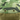 Stuffa Pouch-Viper Tactical-