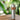 CAMP Hand Coffee Grinder-HELIKON-