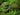 KMCS AGM Adaptive camouflage mesh set - Large pack-Kicking Mustang-