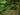 KMCS AGM Adaptive camouflage mesh set - Large pack-Kicking Mustang-