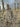 KMCS Complete Ghillie Suit for Crafting - Dark Forest-Kicking Mustang-