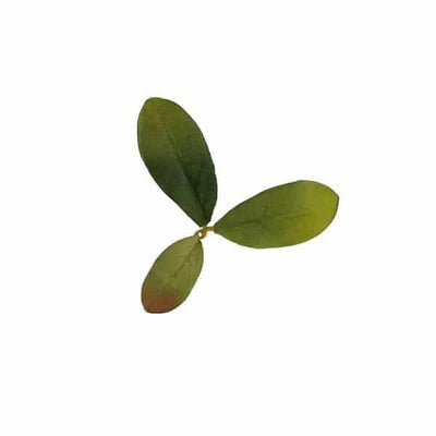Leaf Camo – LC2 - Emerald-NOVRITSCH-