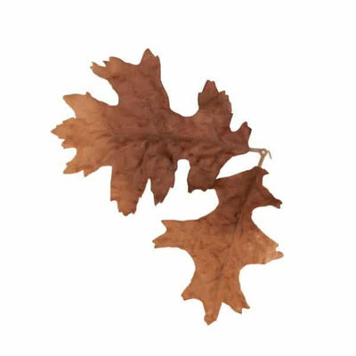 Leaf Camo – LC4 - Bronze-NOVRITSCH-