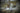 SUPERTARP Small - US Woodland-HELIKON-