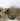 SWAGMAN ROLL Climashield Poncho - Flecktarn-HELIKON-