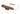 WMX200 Tactical Weapon Light (Dark Earth)-Night Evolution-