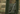 Plate carrier Invader Gear DACC Lightweight — Coyote