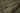 Sleeping bag Tropen - OD Home > All products > Airsoft equipment and guns cases > Camping and Bushcraft > Sleeping bags, mats and sun loungers CARINTHIA