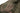 Sleeping bag Tropen - OD Home > All products > Airsoft equipment and guns cases > Camping and Bushcraft > Sleeping bags, mats and sun loungers CARINTHIA