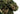 3D Ghillie – Shoulder Piece - Amber Home > All products > Army clothing and shoes > Hejkals and Masking Dumpers NOVRITSCH