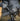 HELIKON RANGEMAN Shooting Gloves - Black Guanti HELIKON