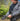 HELIKON RANGEMAN Shooting Gloves - Black Guanti HELIKON