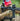 HELIKON All Round Fit Tactical Gloves - Coyote/Adaptive Green Guanti HELIKON