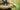 HELIKON All Round Fit Tactical Gloves - Coyote/Adaptive Green Guanti HELIKON