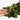 KMCS Cloak with Next Gen Leaf Strips - Green Mimetismo Kicking Mustang