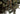 Ghillie suit Invader Gear Base Leaf Camouflage — Flecktarn