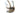 Chest rig SATAC Tactical — Multicam