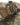 TT MODULAR HIP BAG Waist Pack - MultiCam(R)-Tasmanian Tiger-