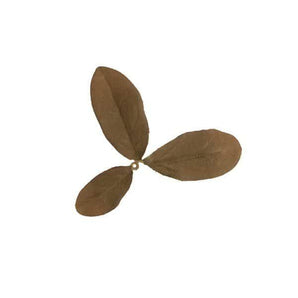 Foglie mimetiche NOVRITSCH Leaf Camo LC2 — Rust-NOVRITSCH-