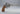 Pistola Softair M29 6.5 Inch Full Metal Co2 Pistola Softair Smith & Wesson