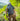 Summit Backpack(R) - Olive Green